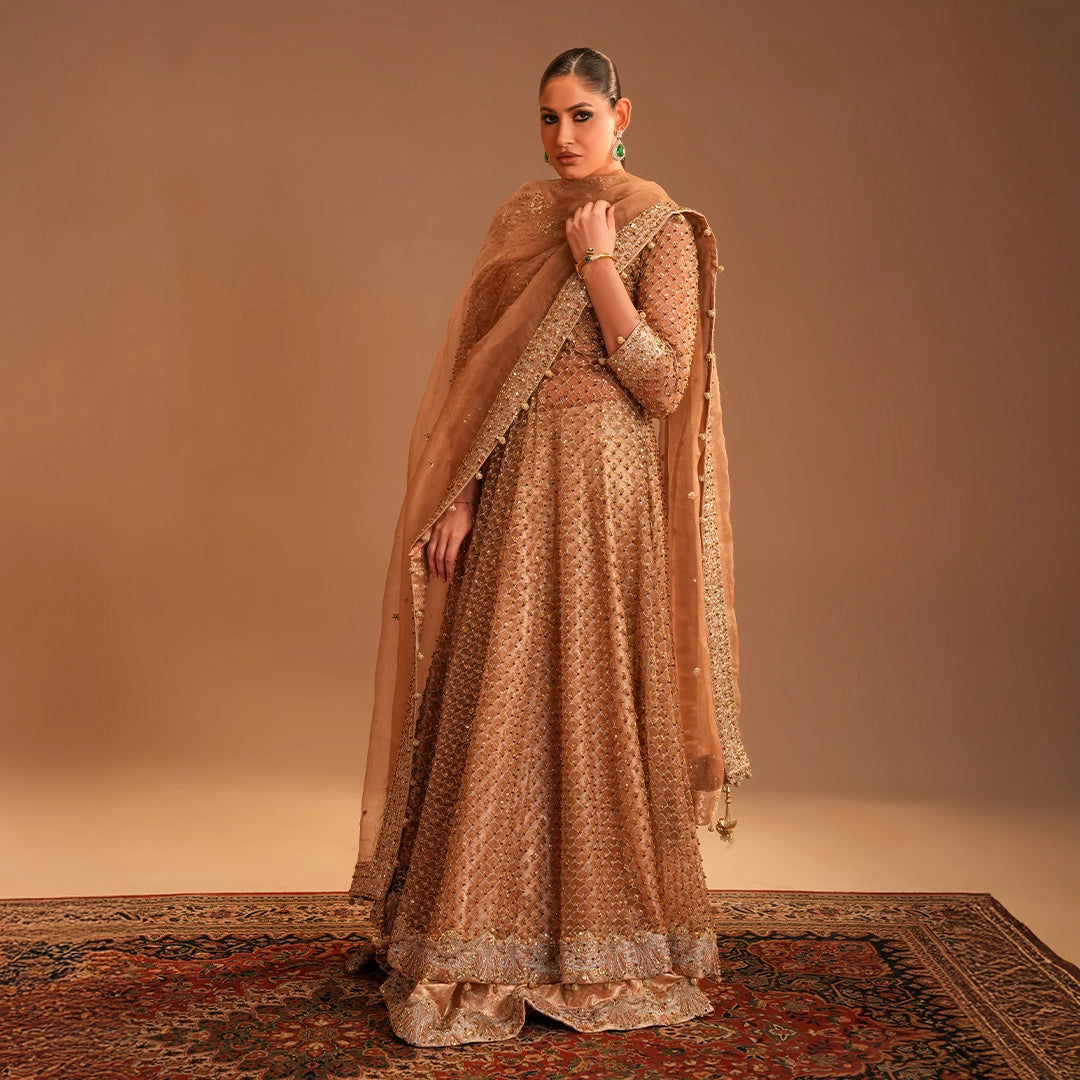 Nikkah / Walima Long Frock